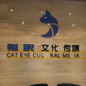 猫眼文化传媒公司